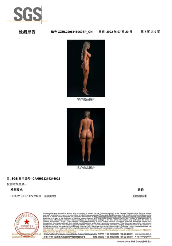 SGS FDA 21 CFR 177.2600